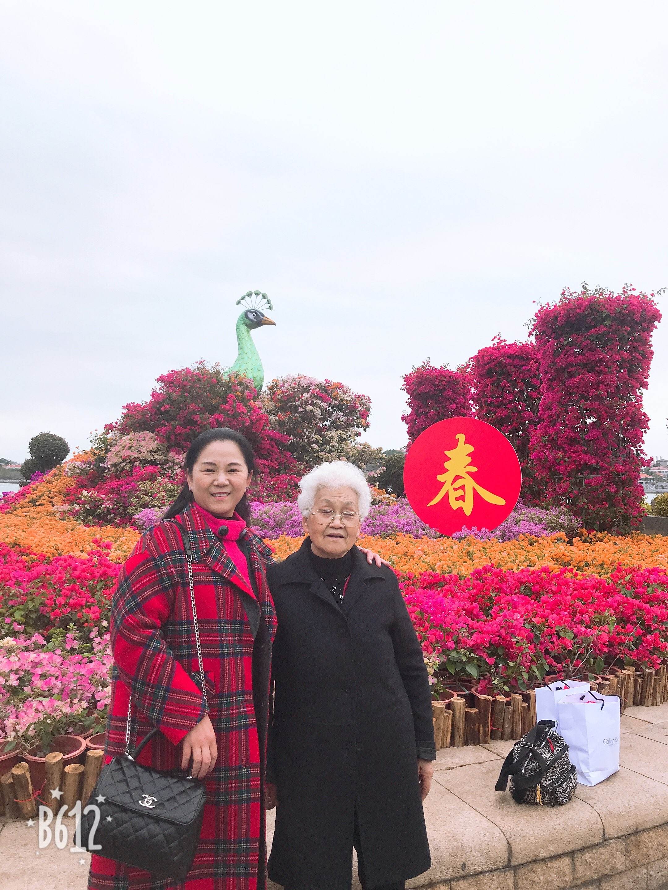 {捕魚機}(妈妈旅游网登录)